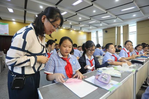 师范热是否降温？录取分数线下滑的趋势解析与行业应对之道