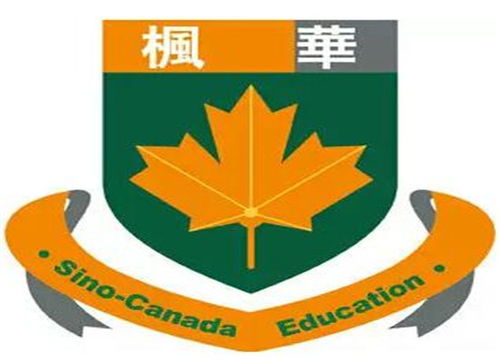 成都全脑开发加盟市场洞察与选择指南