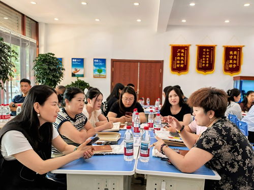 携手三点半教育，共赢河北单招未来 全链硬实力与卓越交付，赋能合作伙伴稳健成长